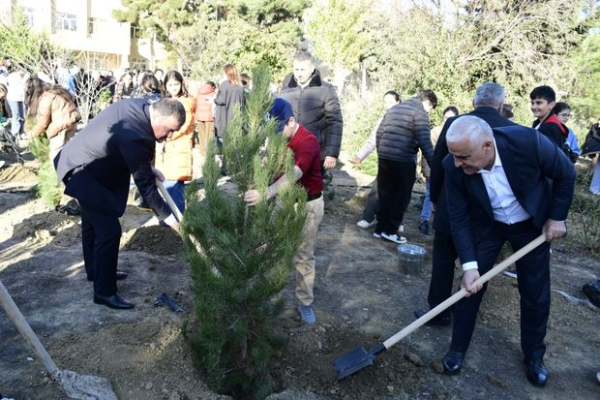 Xətai rayonunda Heydər Əliyevin 100 illik yubileyinə həsr olunmuş ağacəkmə aksiyası keçirilib 